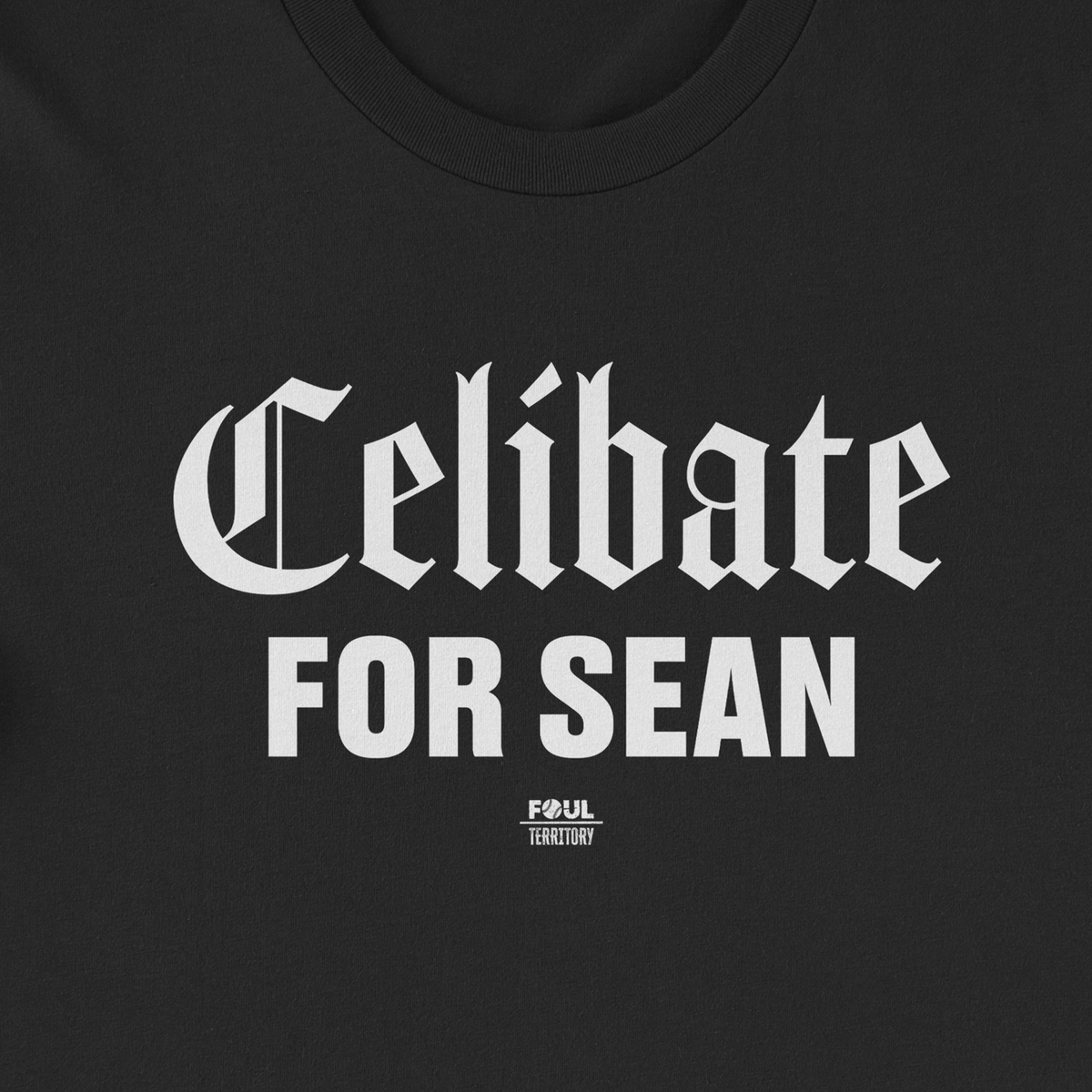 Celibate for Sean
