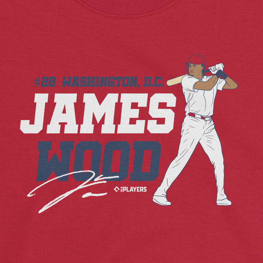 James Wood