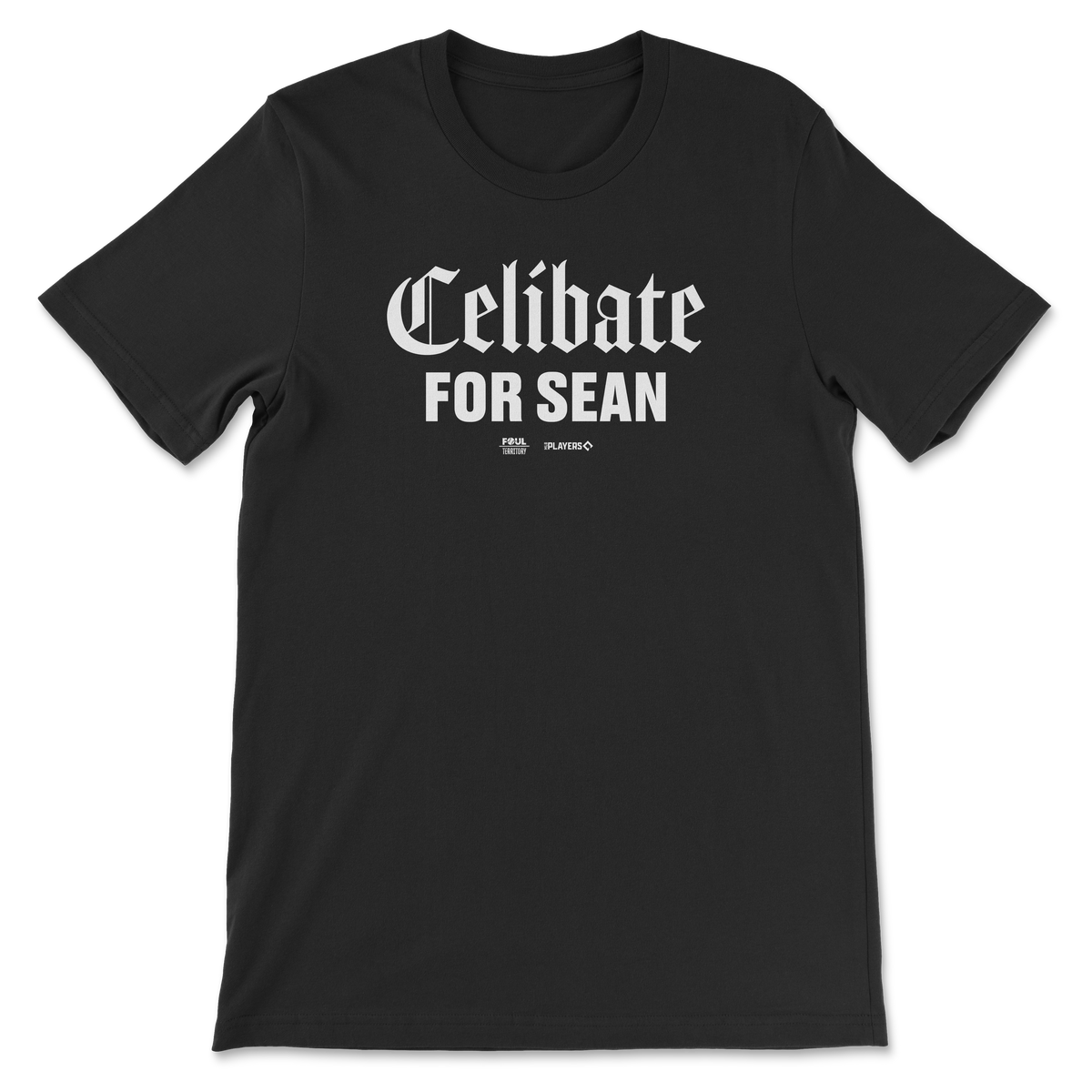 Celibate for Sean